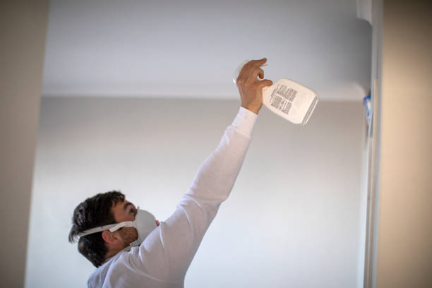 Best Commercial Mold Removal  in Lden, MA