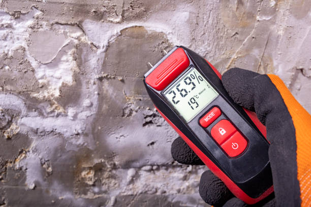 Best Mold Cleaning Services  in Lden, MA