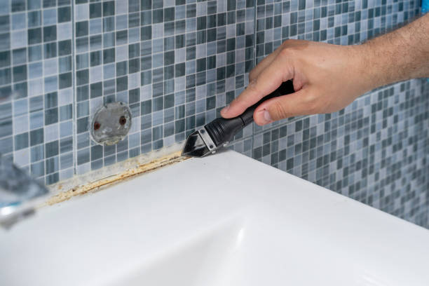 Best Mold Testing  in Lden, MA